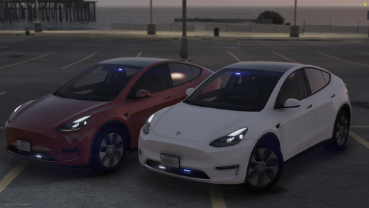 Tesla Model Y Badged and Unbadged