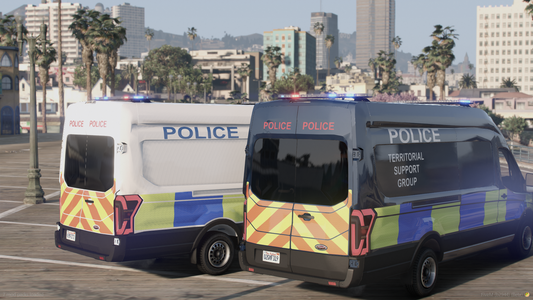 Vapid TSG Van ELS